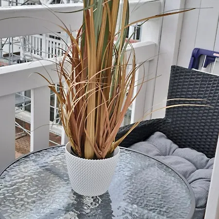 아파트 Seepark Sellin, Haus Having, We 351 *